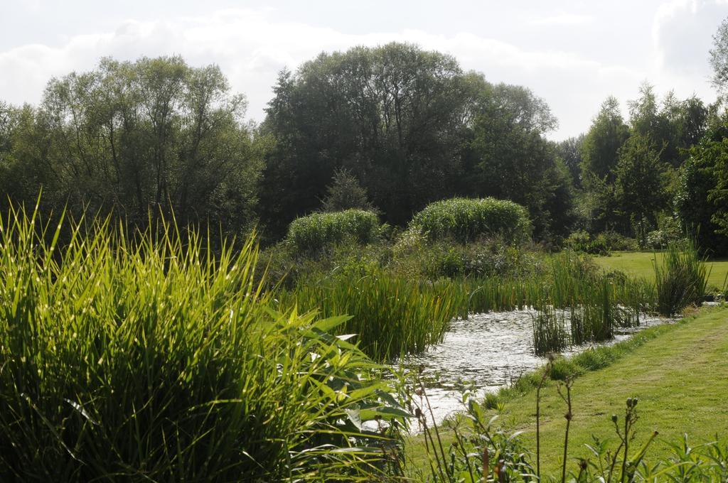 'T Vijverhof Viane Bagian luar foto